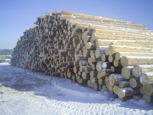 Срубы домов из Чухломы